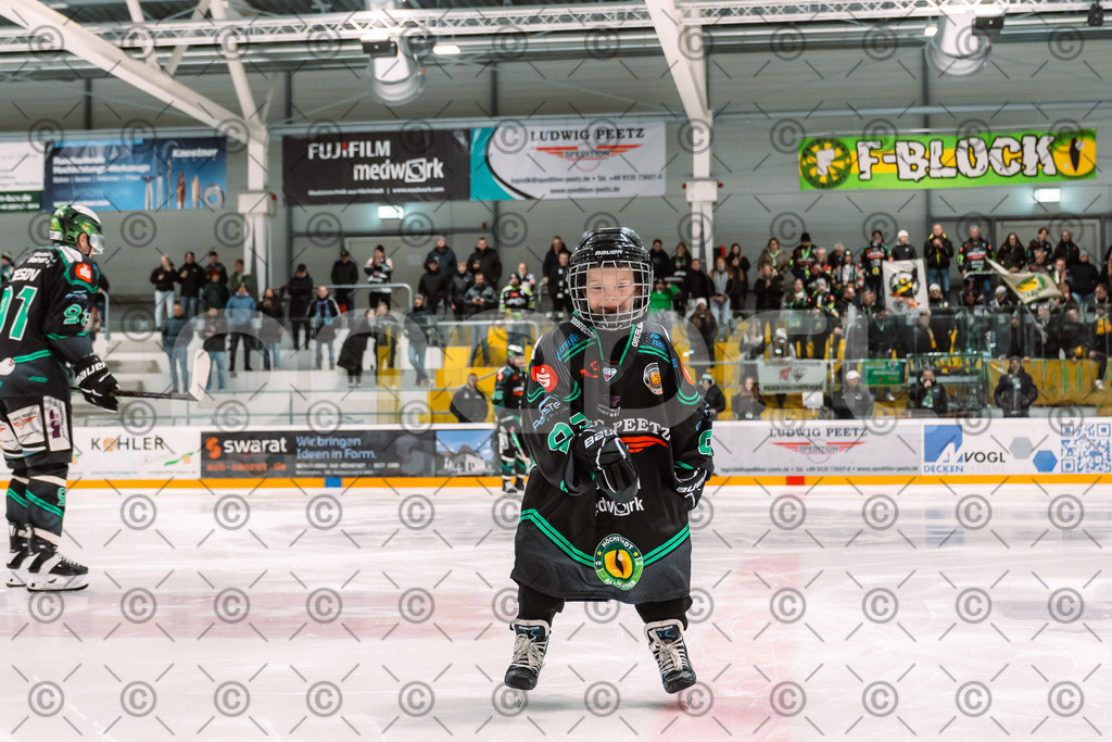 Alligators_vs_Peiting_25_11_2025-23 | Höchstadt Alligators Fotogalerie: Eishockey-Action aus Franken. Professionelle Spielfotos, Portraits & Stadionbilder zum Download. Jetzt entdecken! - Realisiert mit Pictrs.com