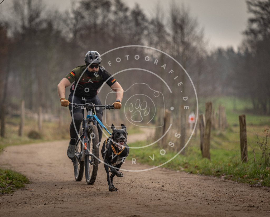 Pfotenfotografie_DV3A1694 | Hundefotografie, Tierfotograf, Pfotenfotografie, Fotoshooting Hund, Hunde Portrait, Hundesport, Hundeportraits, Heideshooting, Hunde, Sportfotograf, Hundefotograf, Turnierhundsport, THS,  - Realisiert mit Pictrs.com