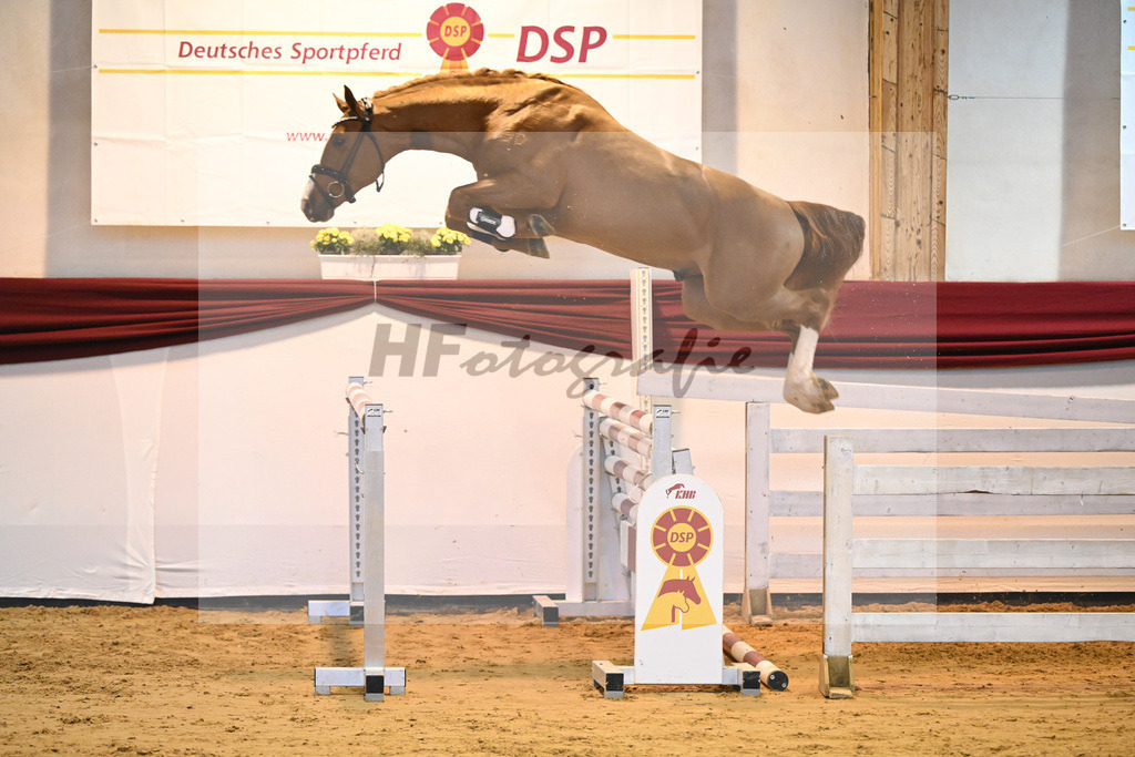Kat-Nr. 14 v. Cizero Z_Zurich_66221153 | hf-fotografie - Realisiert mit Pictrs.com