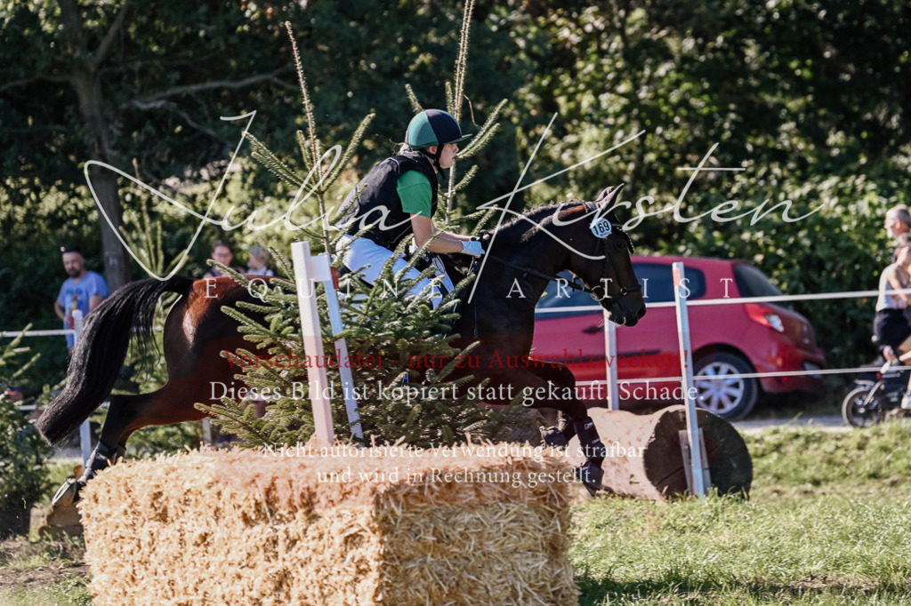 DSC_3604 | Pferde- und Turnierfotografie in Westsachsen. Pferdeportraits, Auftragszeichnungen und intuitive Kunst.