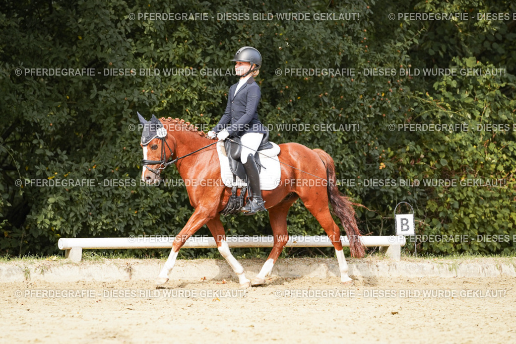 DSC03693 | Pferdegrafie