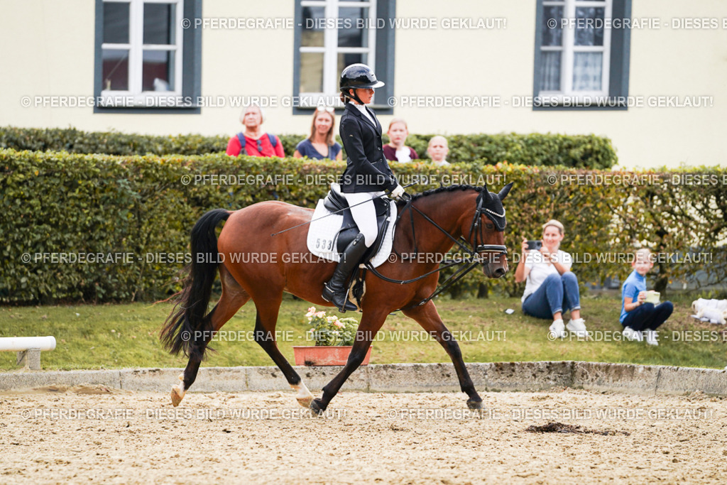 DSC00878 | Pferdegrafie