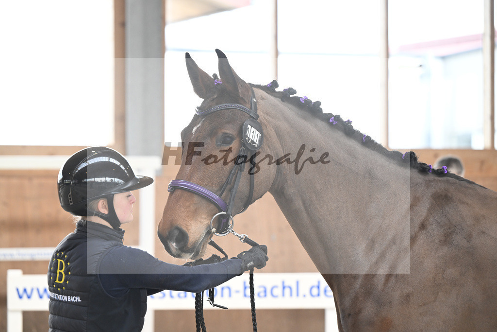 Kat-Nr. 11 Zara von Imhoff v. Catoki_Imhoff_14260621 | hf-fotografie - Realizzato con Pictrs.com