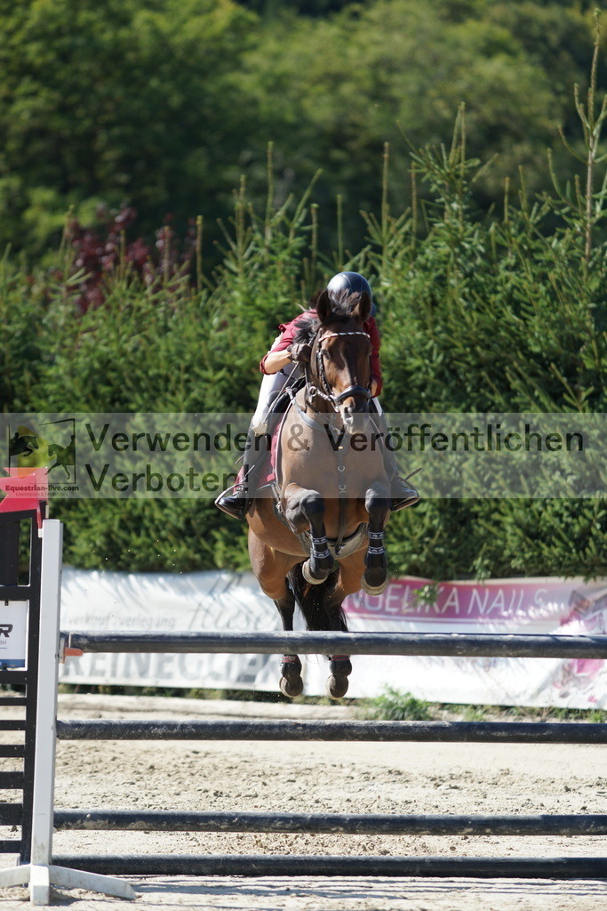DSC01649 | equestrian-live-com