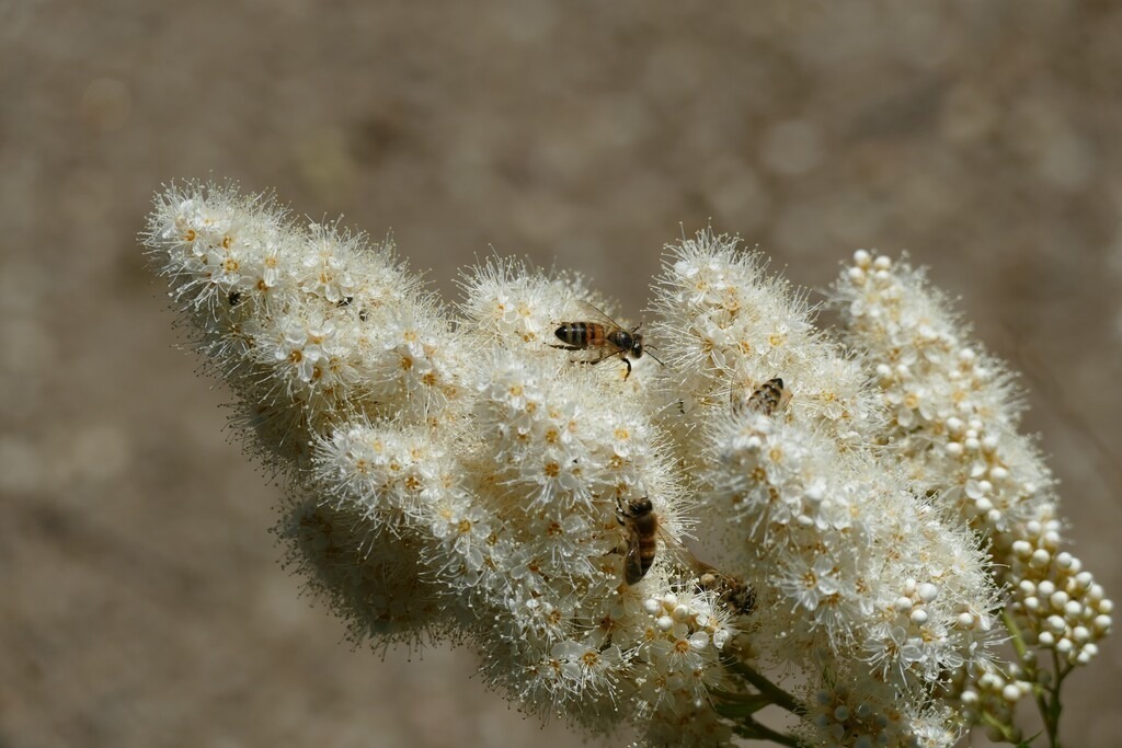 P2250804a | Annaeherungen - Realisiert mit Pictrs.com