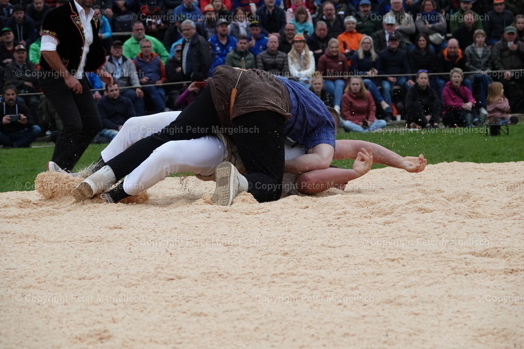 DSC03431 | Schwingen - Realisiert mit Pictrs.com