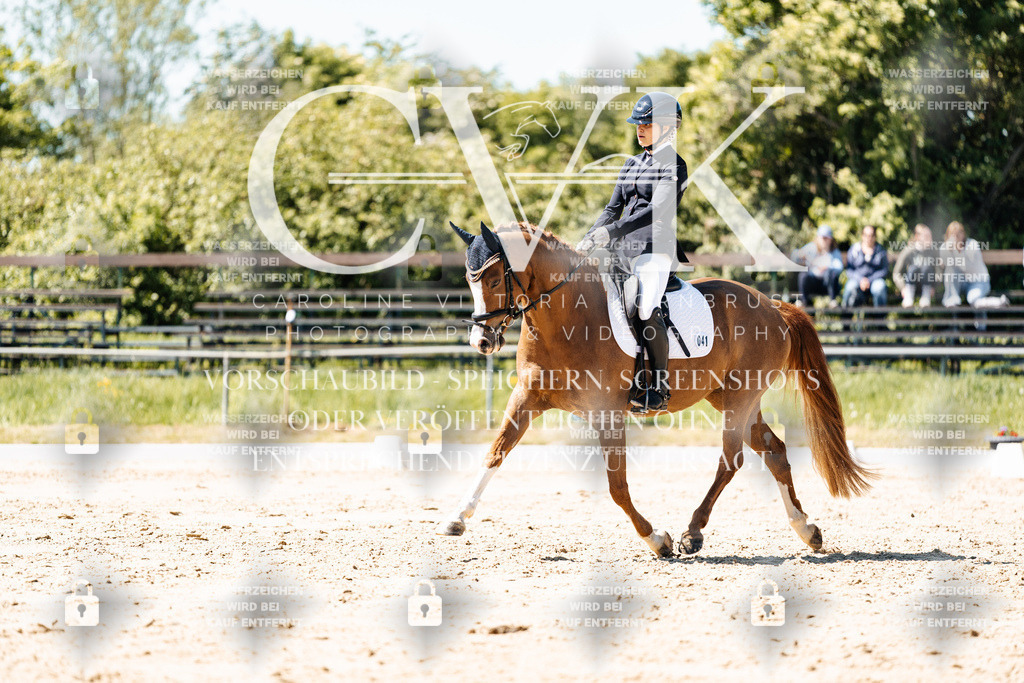 CK905627 | Turnierfotografie Pferdefotografie Trier Rheinland-Pfalz Pferdesport Reitsport Tierfotografie Sportfotografie Pferdevideo Pferdevideografie Equestrianvideography equestrianphotography  - Realisiert mit Pictrs.com