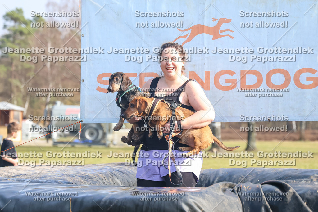 Dog Paparazzi - Strongdog North Mrz26-2076 | Dog Paparazzi Jeanette Grottendiek Fotografie & Videografie - Realisiert mit Pictrs.com