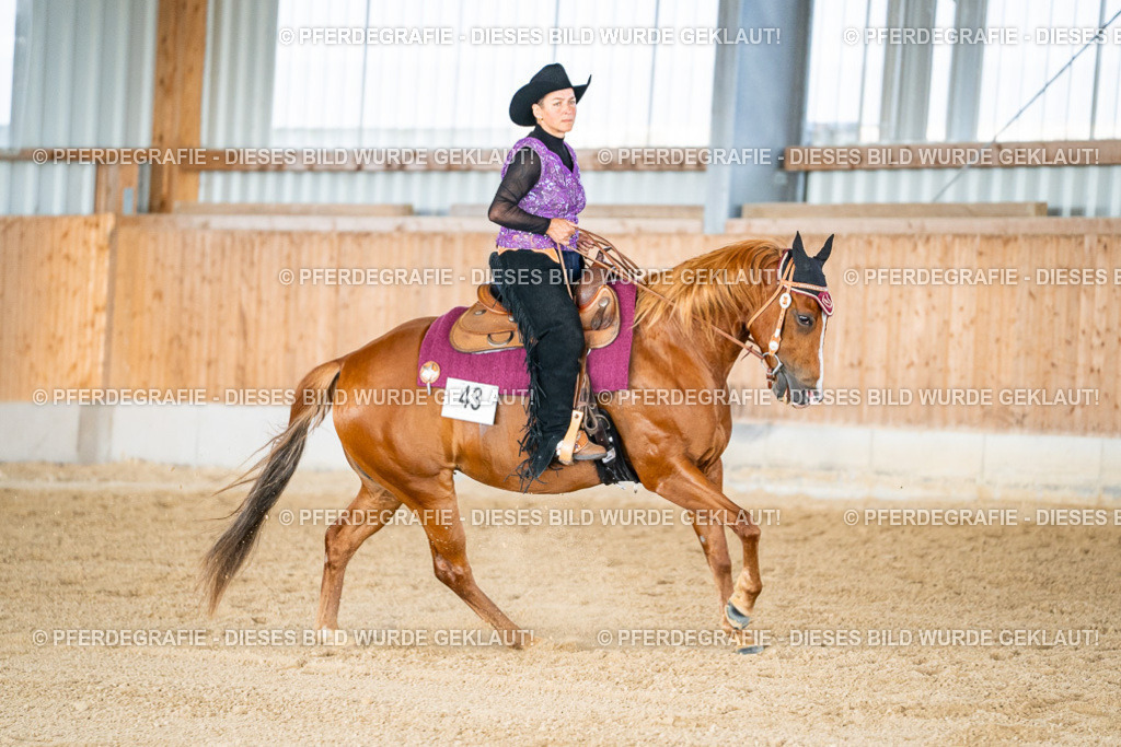 DSC09102 | Pferdegrafie