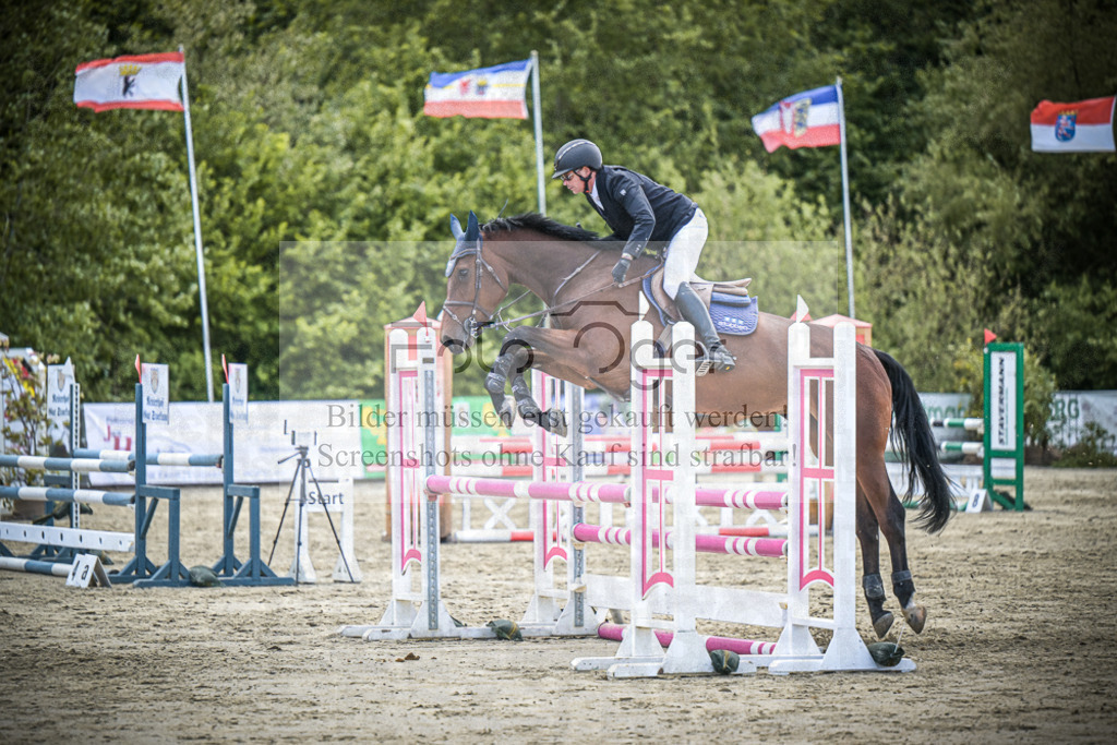 DOS_4589 | Entdecke hochwertige Reitturnierfotos von Foto Oger. Professionell, emotional und authentisch – jetzt Lieblingsmomente im Shop bestellen.Deutschlandweite Turnierfotografie. - Realisiert mit Pictrs.com