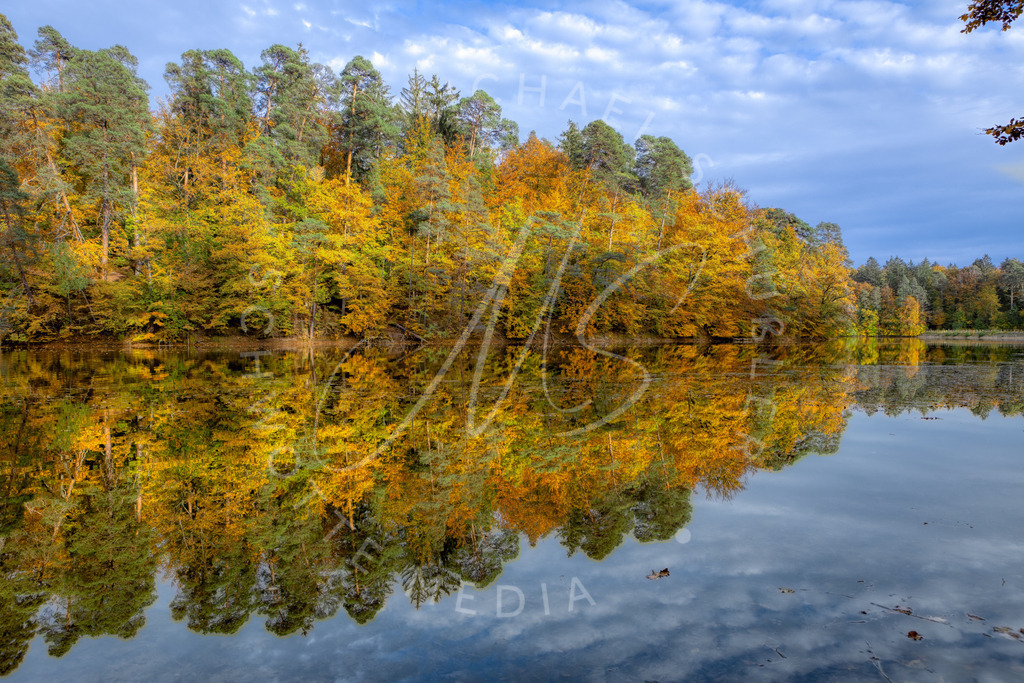 2020-10-21 Baerensee Herbst -77 | Herbstspiegelung an den Bärenseen bei Stuttgart 1 - Realisiert mit Pictrs.com