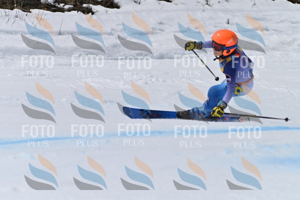 BGV_7081 | holidayphoto