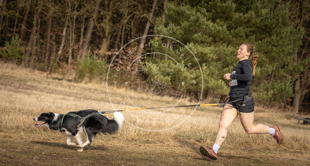 DV3A3900 | Hundefotografie, Tierfotograf, Pfotenfotografie, Fotoshooting Hund, Hunde Portrait, Hundesport, Hundeportraits, Heideshooting, Hunde, Sportfotograf, Hundefotograf, Turnierhundsport, THS,  - Realisiert mit Pictrs.com