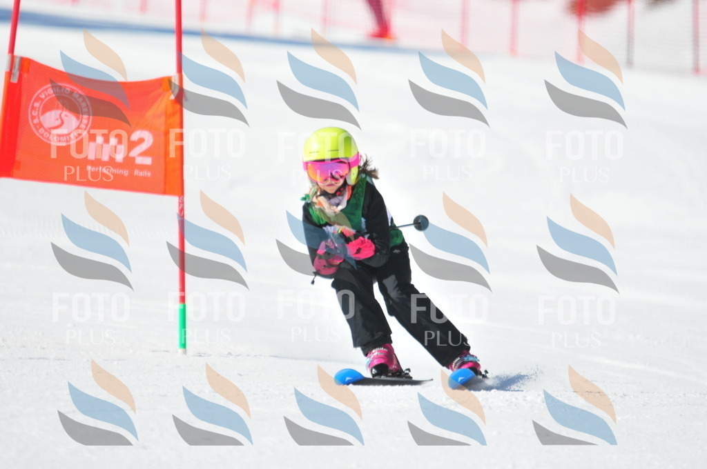 C2737 | holidayphoto