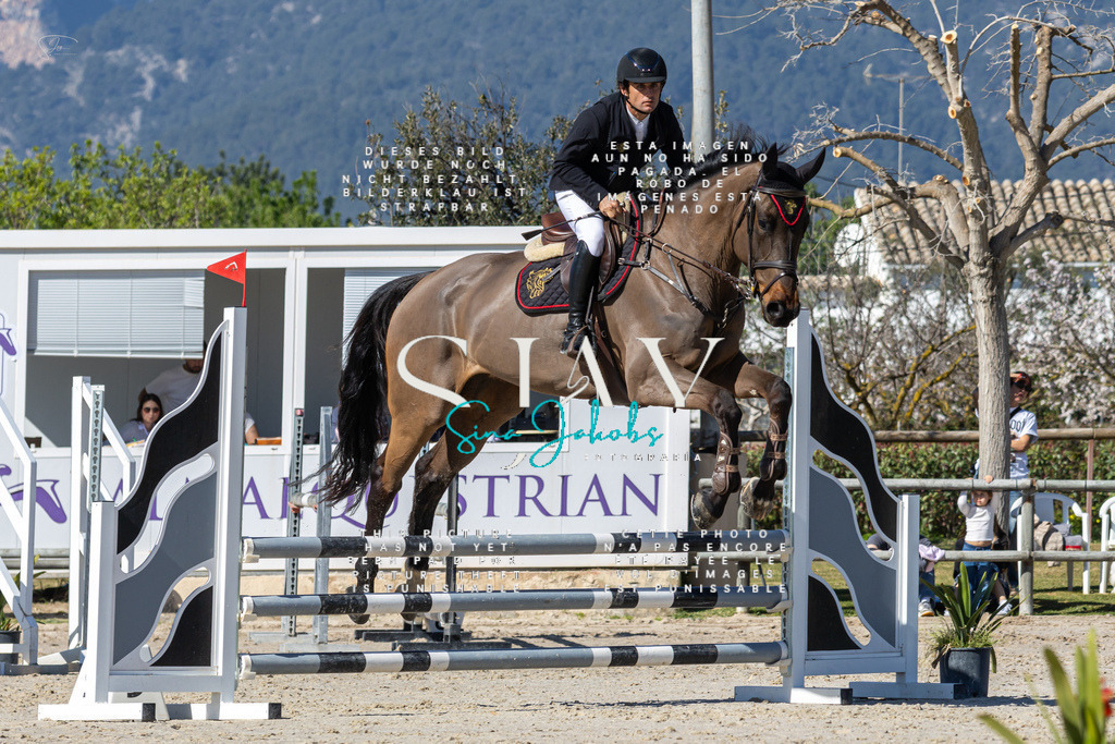 IMG_8938 | s-jay-photography - Realisiert mit Pictrs.com