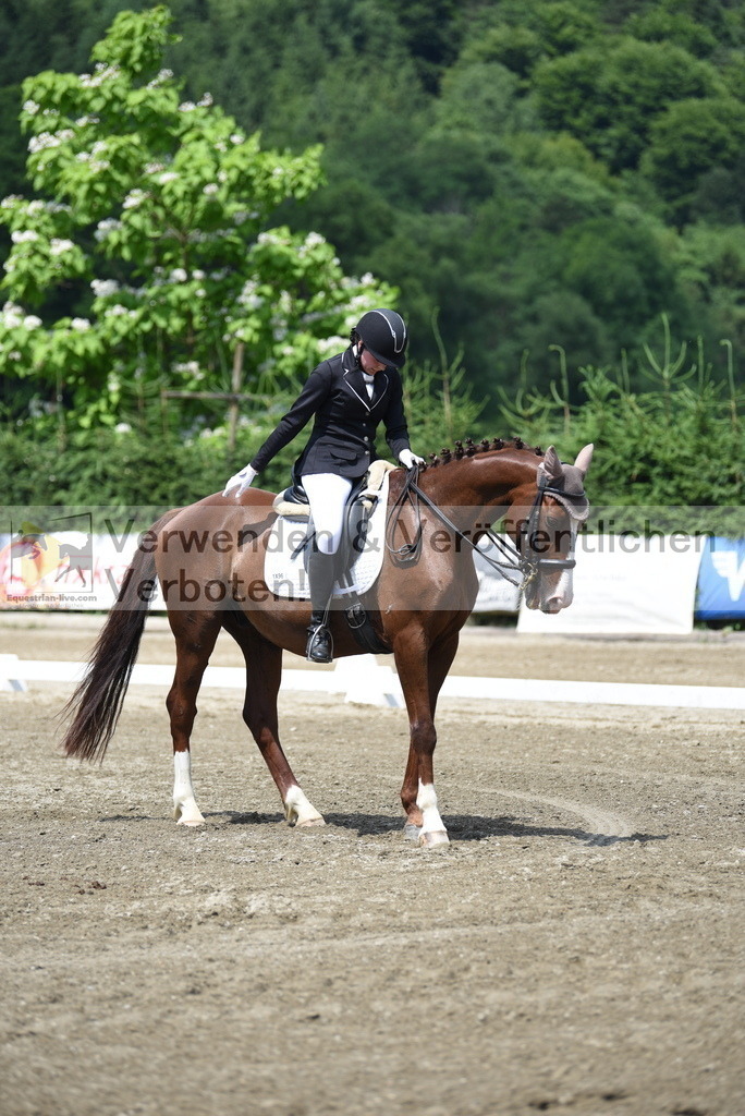 DSC_8880 | equestrian-live-com