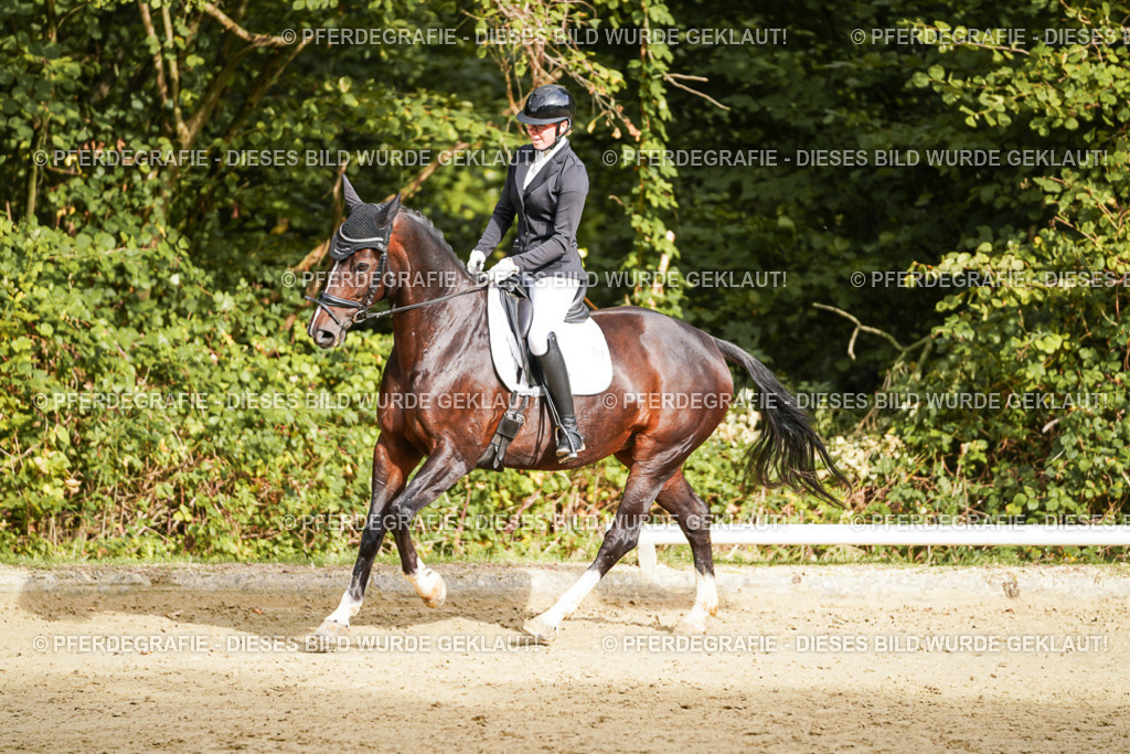 DSC09616 | Pferdegrafie