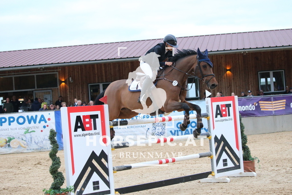 DL2Q6519 | Willkommen bei Brunnmayr - Design & Fotografie – Ihrem Spezialisten für Reitturniere und Pferdeveranstaltungen in Oberösterreich, Salzburg und Bayern! Seit über 17 Jahren sind wir leidenschaftlich dabei.