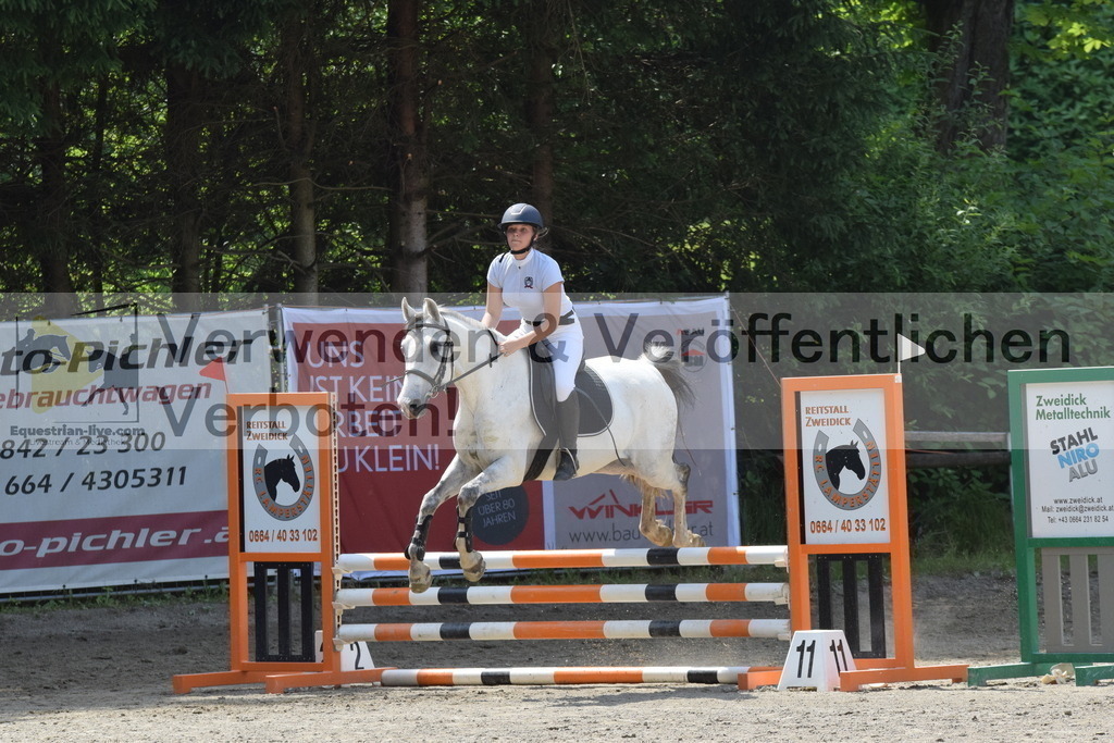 DSC_0018 | equestrian-live-com