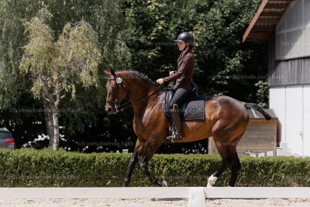 WS_DR_111_sinafilmart_IN02675 | working equitationturnier fotograf videograf stoibphotography marixx film working equitation deutschland reitsport turnierfotografie eventfotografie equestrian events