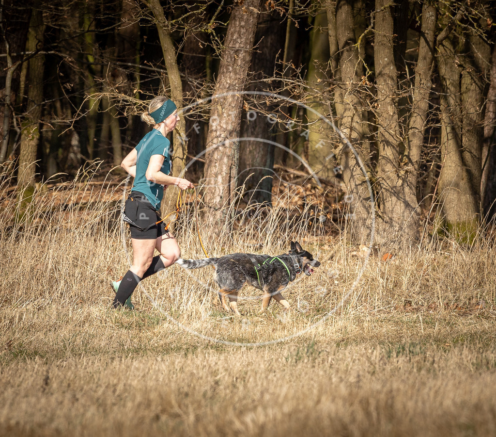 DV3A6027 | Hundefotografie, Tierfotograf, Pfotenfotografie, Fotoshooting Hund, Hunde Portrait, Hundesport, Hundeportraits, Heideshooting, Hunde, Sportfotograf, Hundefotograf, Turnierhundsport, THS,  - Realisiert mit Pictrs.com