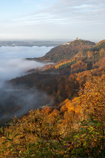 DSC_3785 | Bilder von Frank Landsberg / Siebengebirge in Bildern - Realisiert mit Pictrs.com