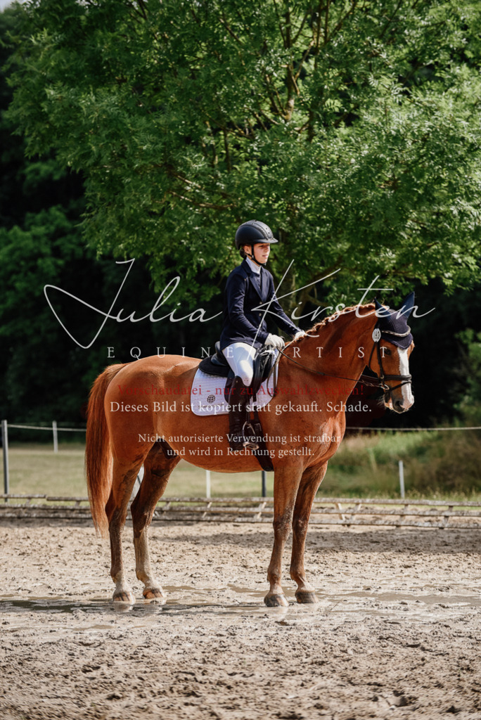 DSC_0048 | Pferde- und Turnierfotografie in Westsachsen. Pferdeportraits, Auftragszeichnungen und intuitive Kunst.