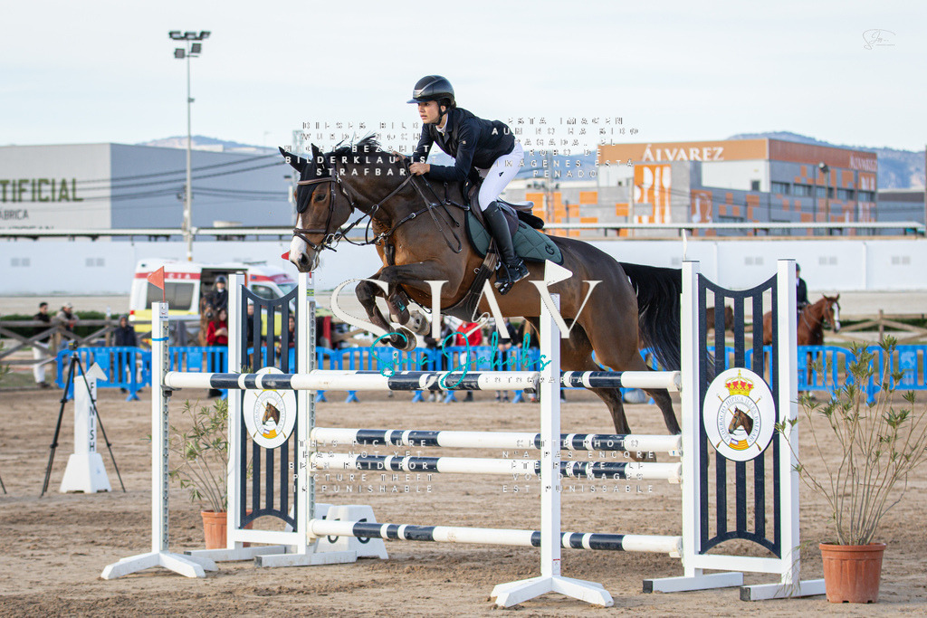 IMG_0684 | s-jay-photography - Realisiert mit Pictrs.com