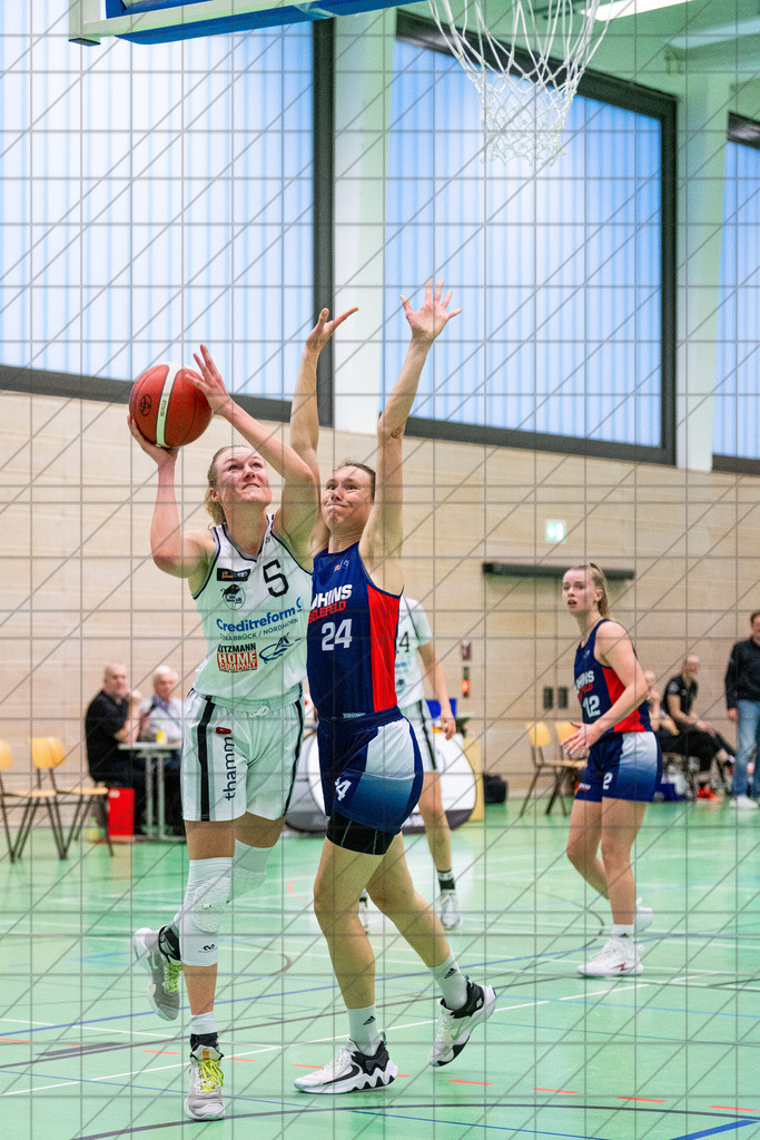 2. DBBL Nord 24/25 | 27.10.2024 | BBC OS vs. TSVE Bielefeld  | 2. DBBL Nord 24/25 | 27.10.2024 | BBC OS vs. TSVE Bielefeld - - - - - CREDIT, www.bullenfotos.de, Martin König, Hörner Weg 40, D-49078 Osnabrück, +4917663732967, Nutzung und Weitergabe nur zu den vereinbarten Zwecken. Presseanfragen an Urheber. Alle Rechte beim Urheber. - - - - - - Realisiert mit Pictrs.com