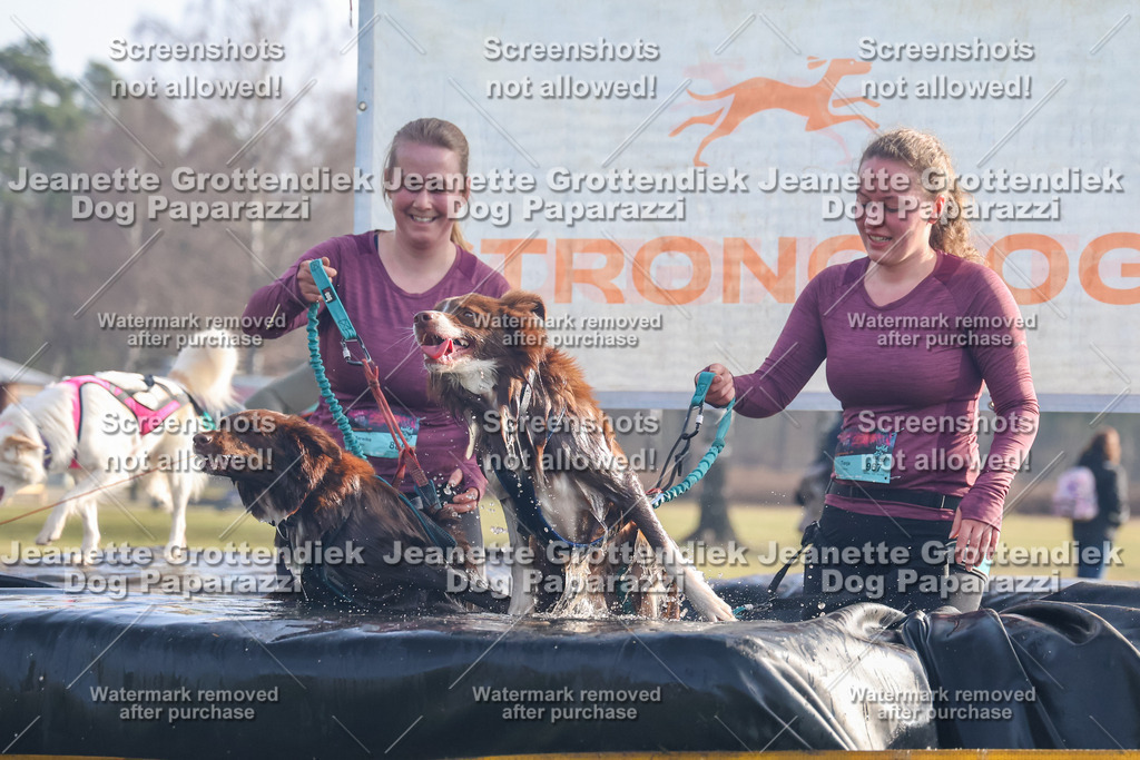 Dog Paparazzi - Strongdog North Mrz26-129 | Dog Paparazzi Jeanette Grottendiek Fotografie & Videografie - Realisiert mit Pictrs.com