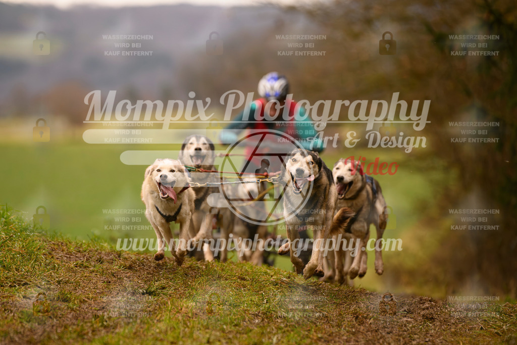 MompixPhotography_2SSTSSBW_2025_SO_Kart-48 | PayLife