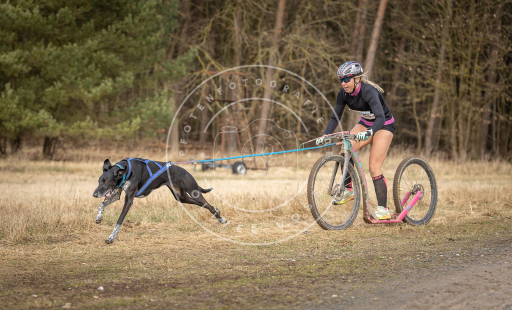DV3A4670 | Hundefotografie, Tierfotograf, Pfotenfotografie, Fotoshooting Hund, Hunde Portrait, Hundesport, Hundeportraits, Heideshooting, Hunde, Sportfotograf, Hundefotograf, Turnierhundsport, THS,  - Realisiert mit Pictrs.com