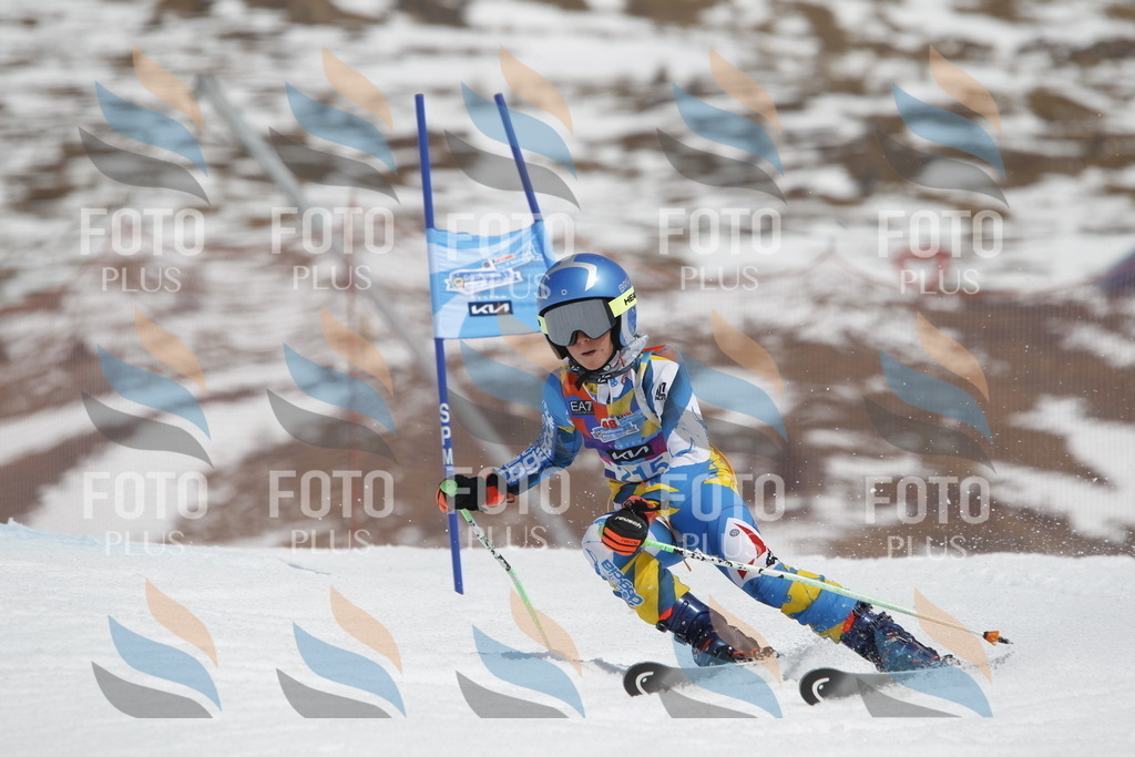 _U3G2292 | holidayphoto