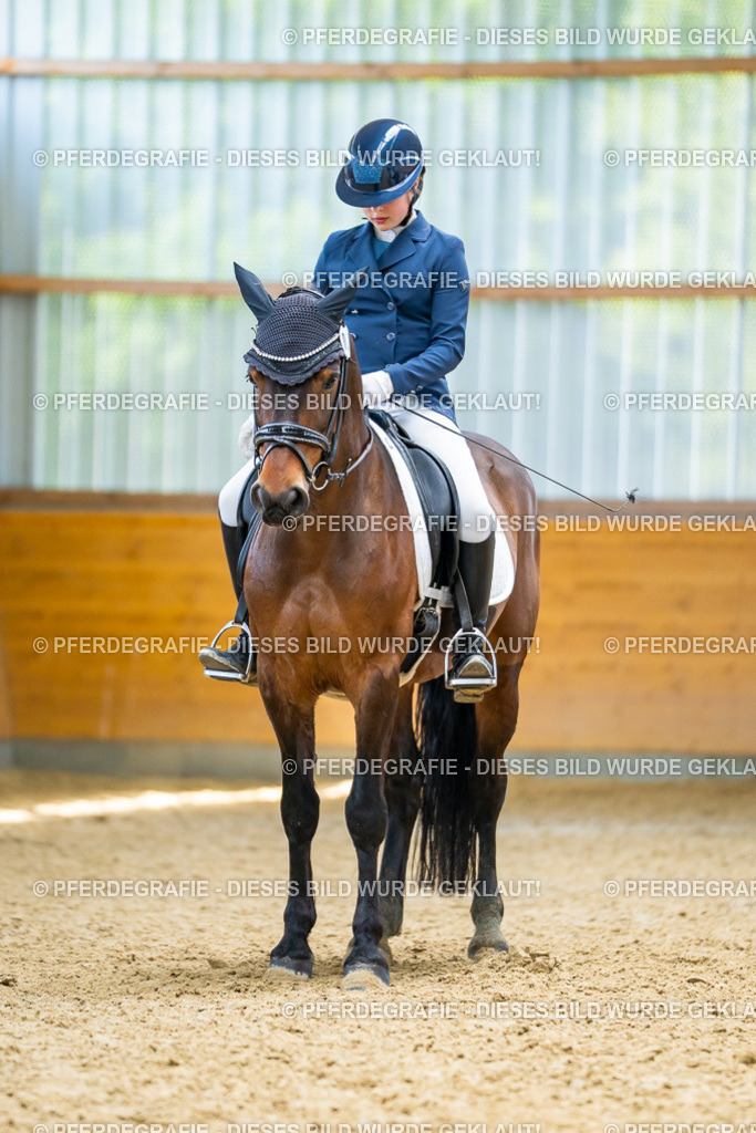 DSC09539 | Pferdegrafie