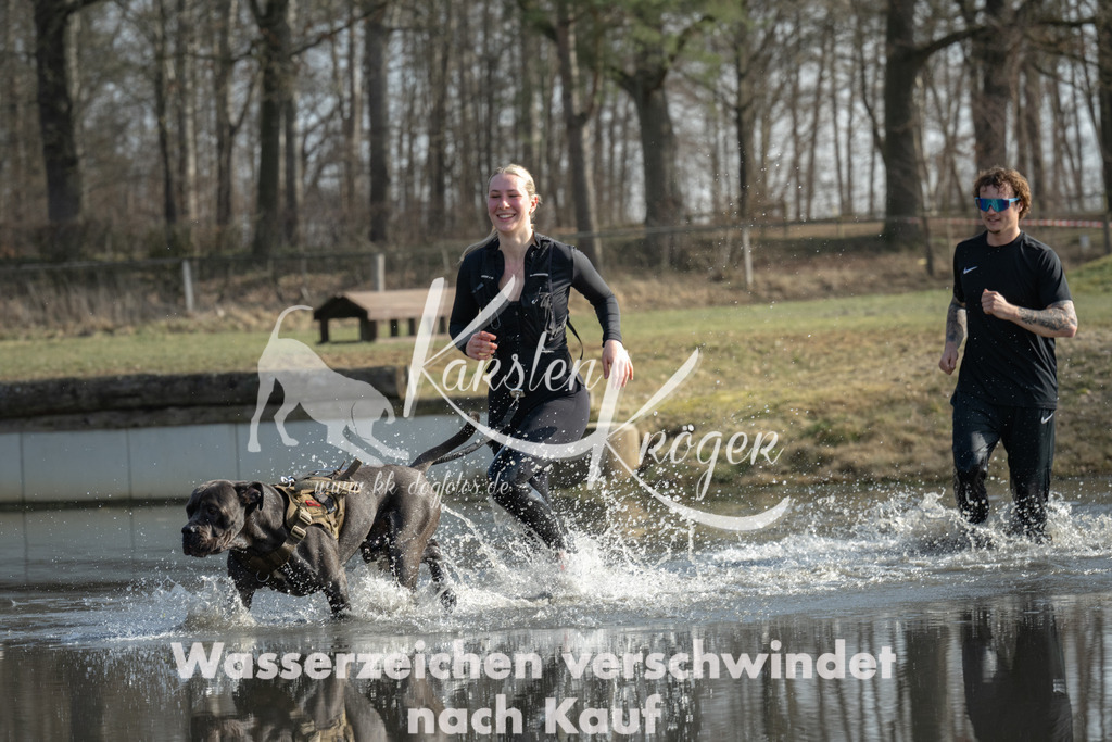 1309_ZZ94903 | kk-dogfotos