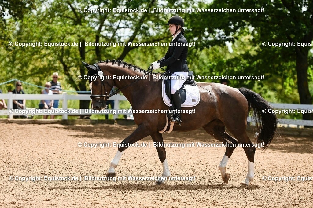 20230716_03_Dressurprfg. Kl.L - Tr._0174 | equistock