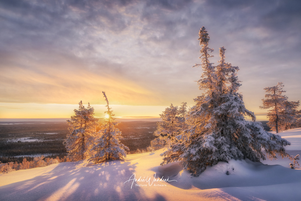 Eingehüllt in goldenes Licht | Andre Wandrei - Nature Artworx - Realisiert mit Pictrs.com