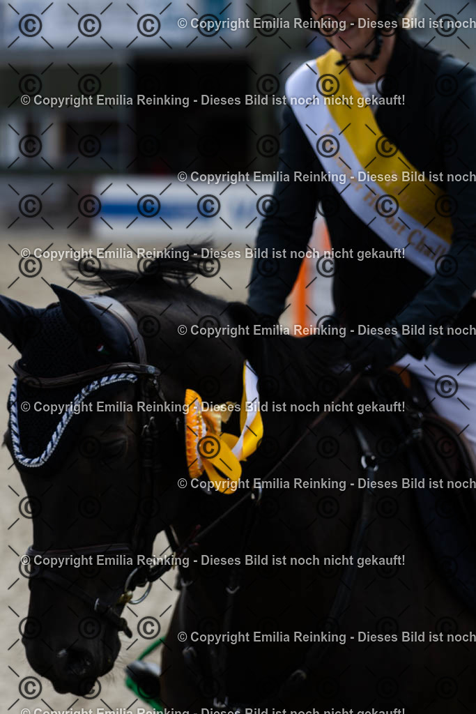 CL5A3842 | Emilia Reinking Fotografie - Realisiert mit Pictrs.com