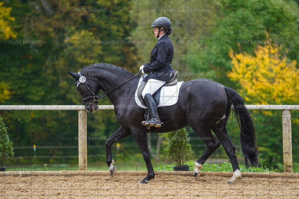 20221008-FAH01881 | Diessen am Ammersee, 2022, Dressur- und Springturnier, Reitsportbilder, Turnierfotografen Bayern, Pferdefotografen, Fotoagentur Herrmann, Turnierbilder