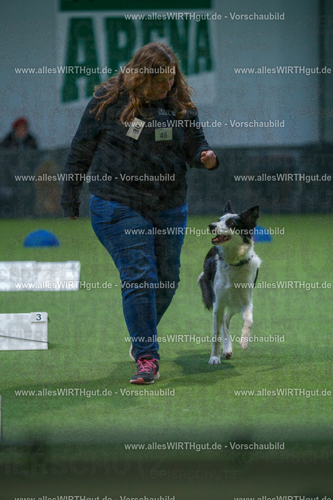 7R501391 | Professionelle Tierfotografie in Mönchengladbach von Daniel Wirth (allesWIRTHgut). Liebevolle & natürliche Bilder von Hunden & Katzen für unvergessliche Erinnerungen.