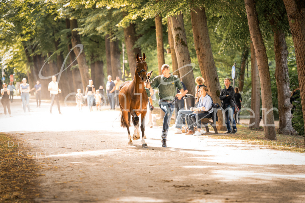 FrPfM00139 | Leoni Ertmer Photography - Realisiert mit Pictrs.com