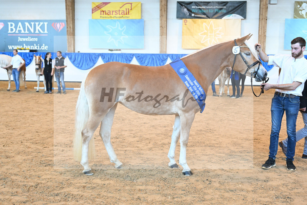 Kat-Nr. 5 Wayana v. Starkwind_Aigner_60221221 | hf-fotografie - Realisiert mit Pictrs.com