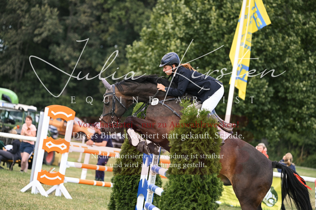 DSC_0879 | Pferde- und Turnierfotografie in Westsachsen. Pferdeportraits, Auftragszeichnungen und intuitive Kunst.