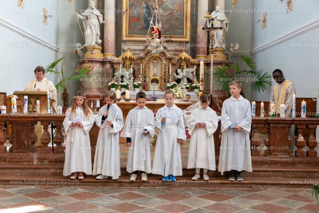 _DSC2696 | Hier finden Sie die Online Foto-Galerie von fotograf-passau.com und marius-handrugan.de. Suchen Sie sich direkt Ihre Lieblingsbilder aus, ob als Ausdruck oder Download. - Realisiert mit Pictrs.com