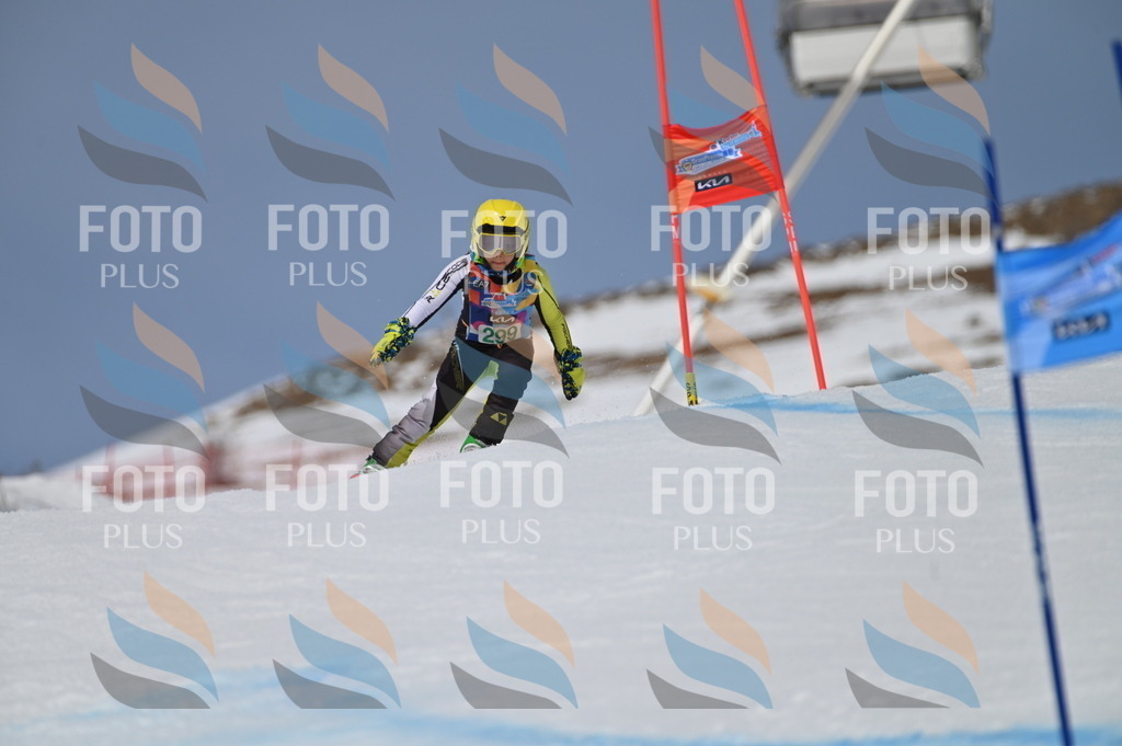 BGV_5945 | holidayphoto