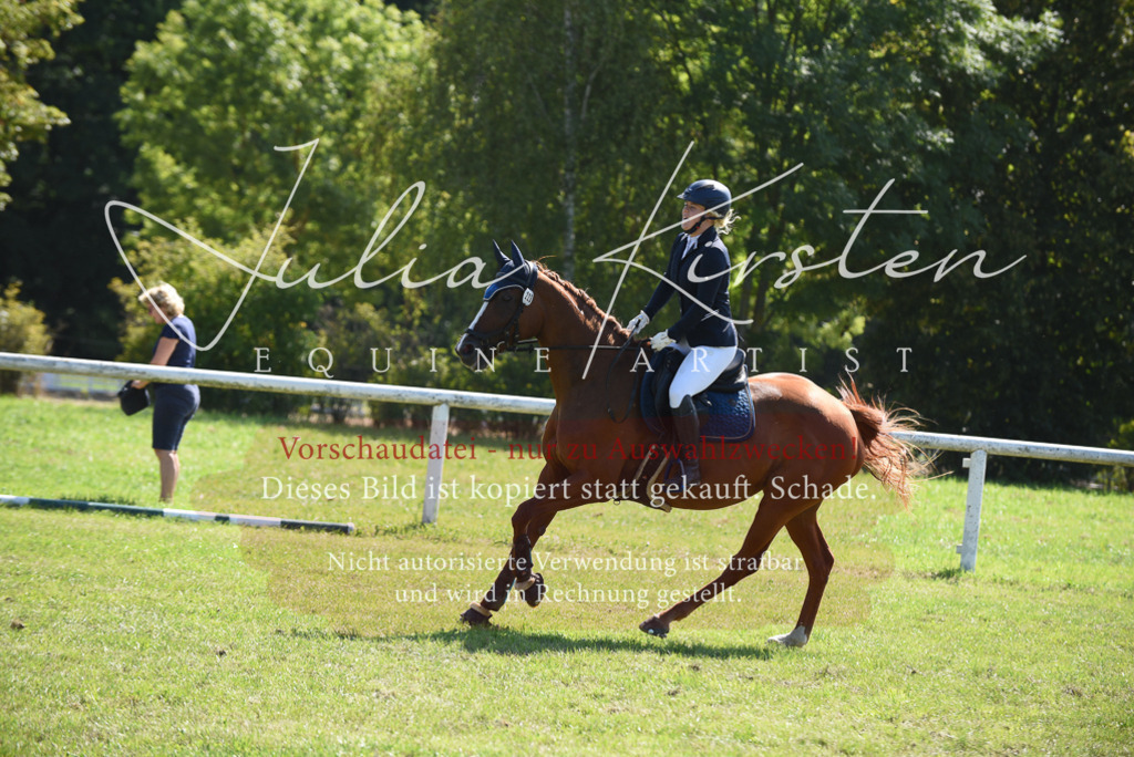 DSC_9295 | Pferde- und Turnierfotografie in Westsachsen. Pferdeportraits, Auftragszeichnungen und intuitive Kunst.