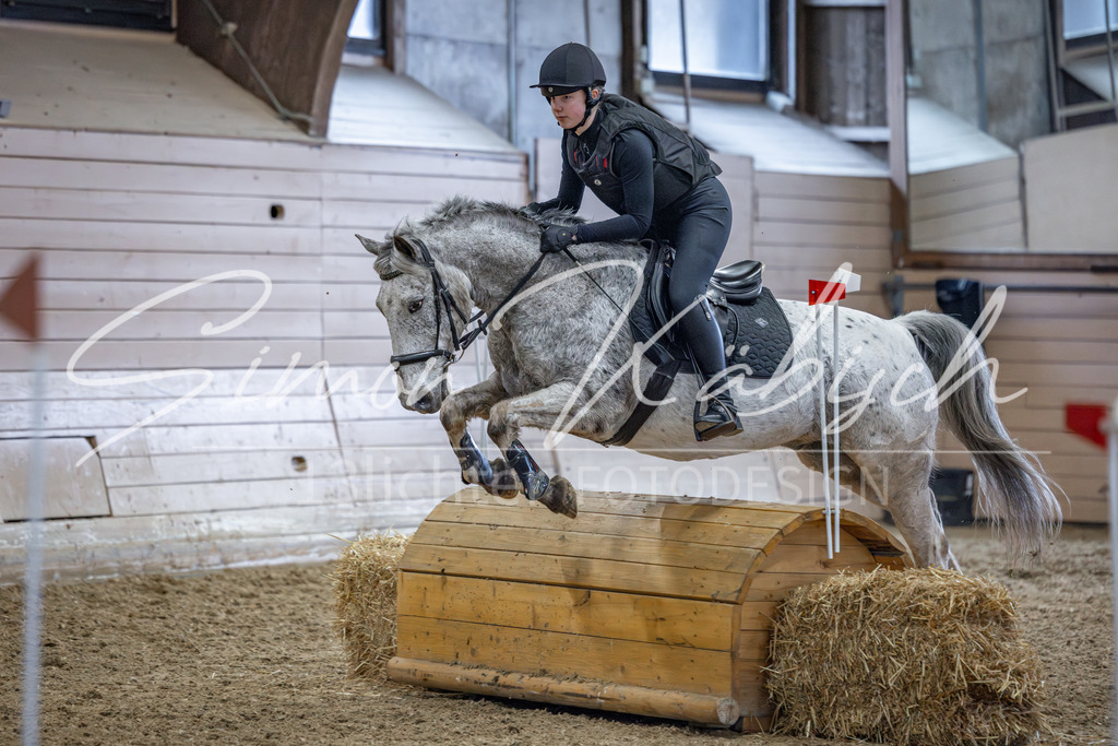 20260221-_3LI9711 | Tierfotografie Pferde, Hunde, Katzen, Haustiere.
Turnierfotografie Reitturniere, Reiten, Springreiten, Dressur in Hanau, dem Main-Kinzig-Kreis und dem Rhein-Main- Gebiet um Frankfurt