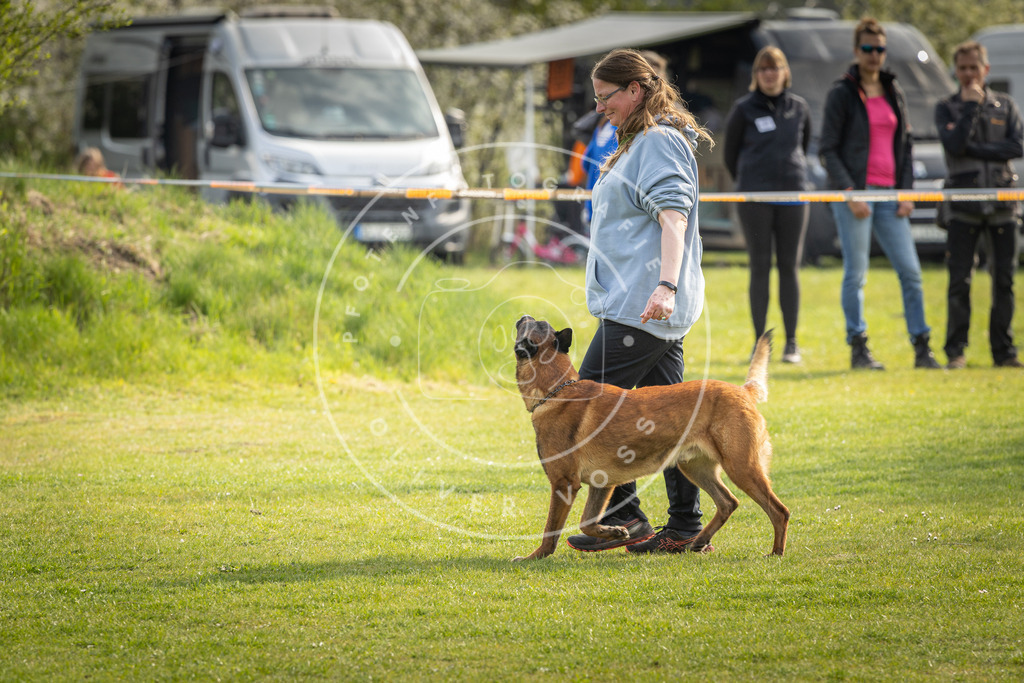 Pfotenfotografie_DV3A4967 | Hundefotografie, Tierfotograf, Pfotenfotografie, Fotoshooting Hund, Hunde Portrait, Hundesport, Hundeportraits, Heideshooting, Hunde, Sportfotograf, Hundefotograf, Turnierhundsport, THS,  - Realisiert mit Pictrs.com