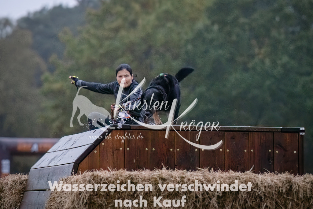 0810-_ZZ90538-Bearbeitet-Bearbeitet | kk-dogfotos
