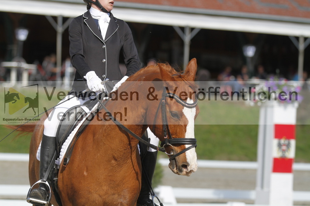 _MG_9287 | equestrian-live-com